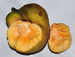 Leaf boat Vate Huli Dry Chips 200 GM Artocarpus Lakoocha Lakucha Monkey Jack