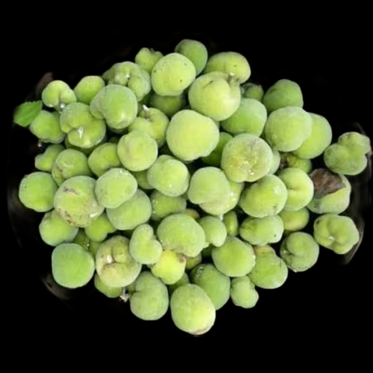 Leaf boat Vate Huli Dry Chips 200 GM Artocarpus Lakoocha Lakucha Monkey Jack